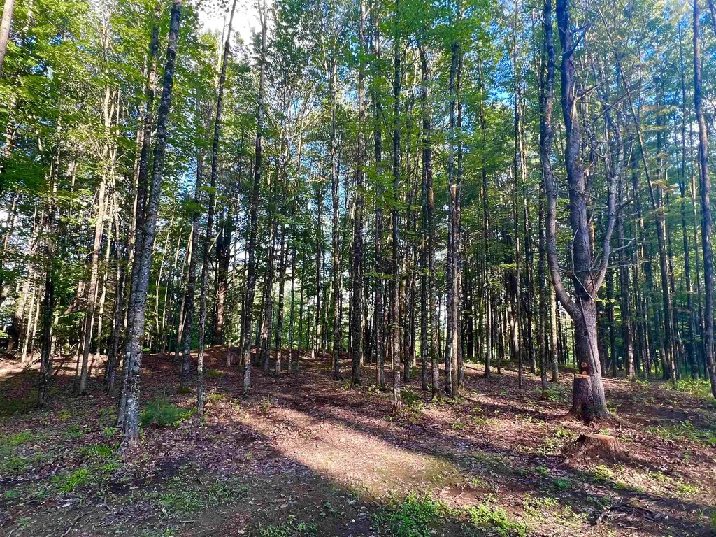 2645 Goshen Road Bradford VT 05033