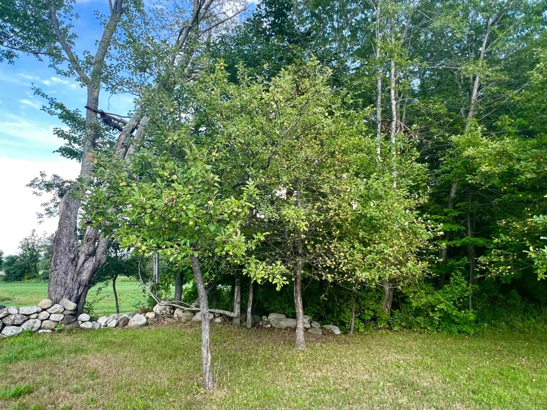 2645 Goshen Road Bradford VT 05033