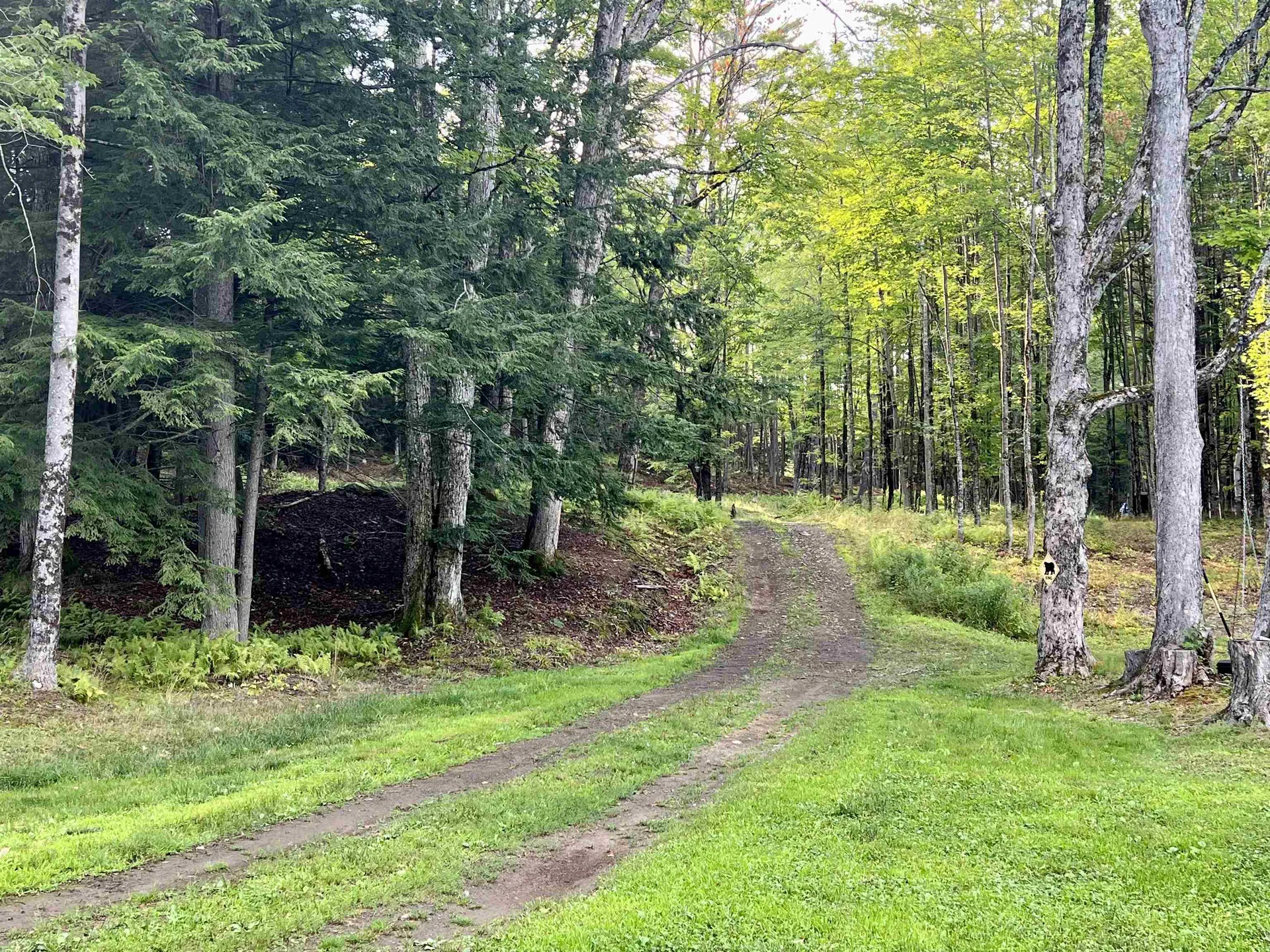 2645 Goshen Road Bradford VT 05033