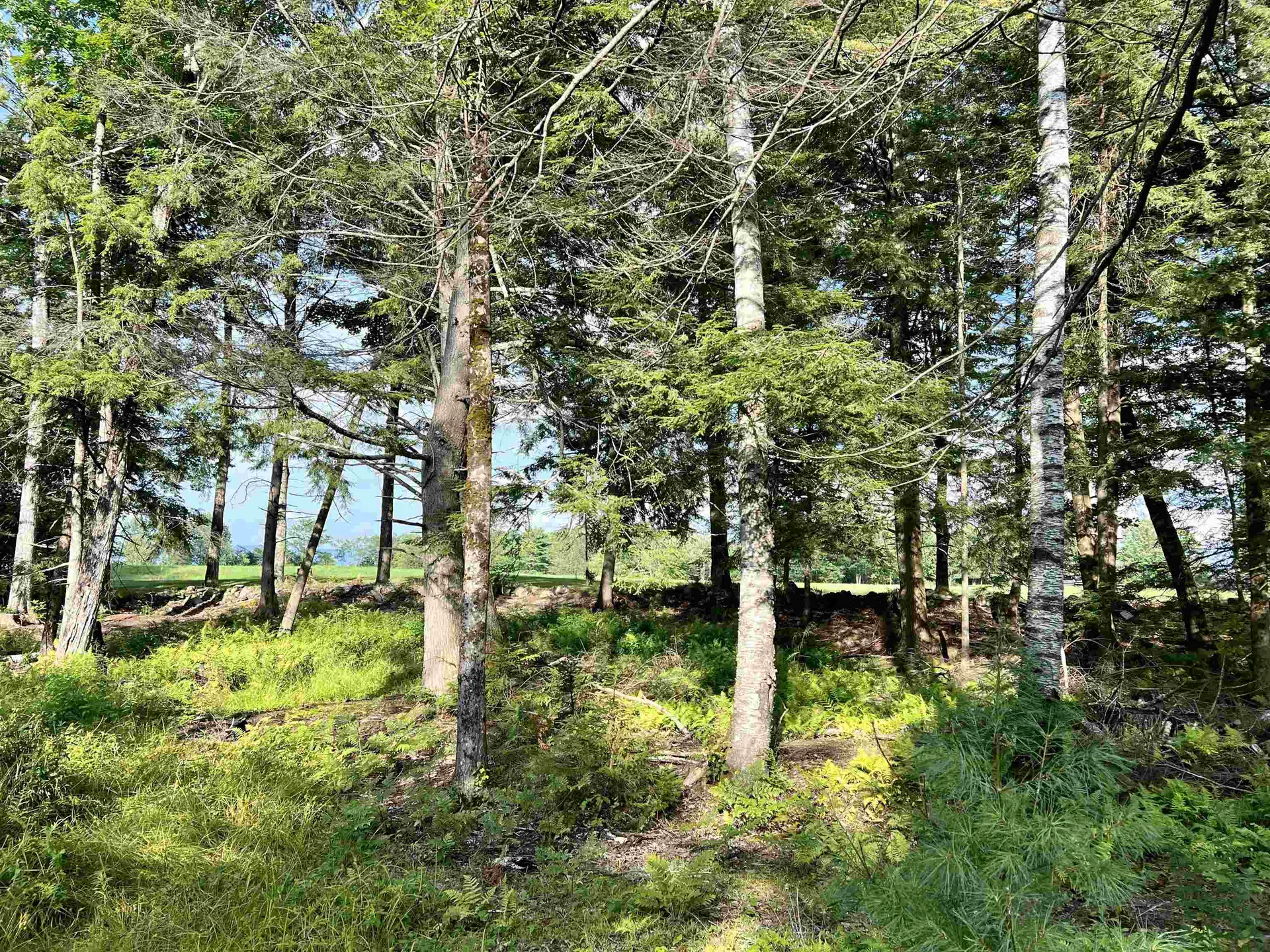 2645 Goshen Road Bradford VT 05033