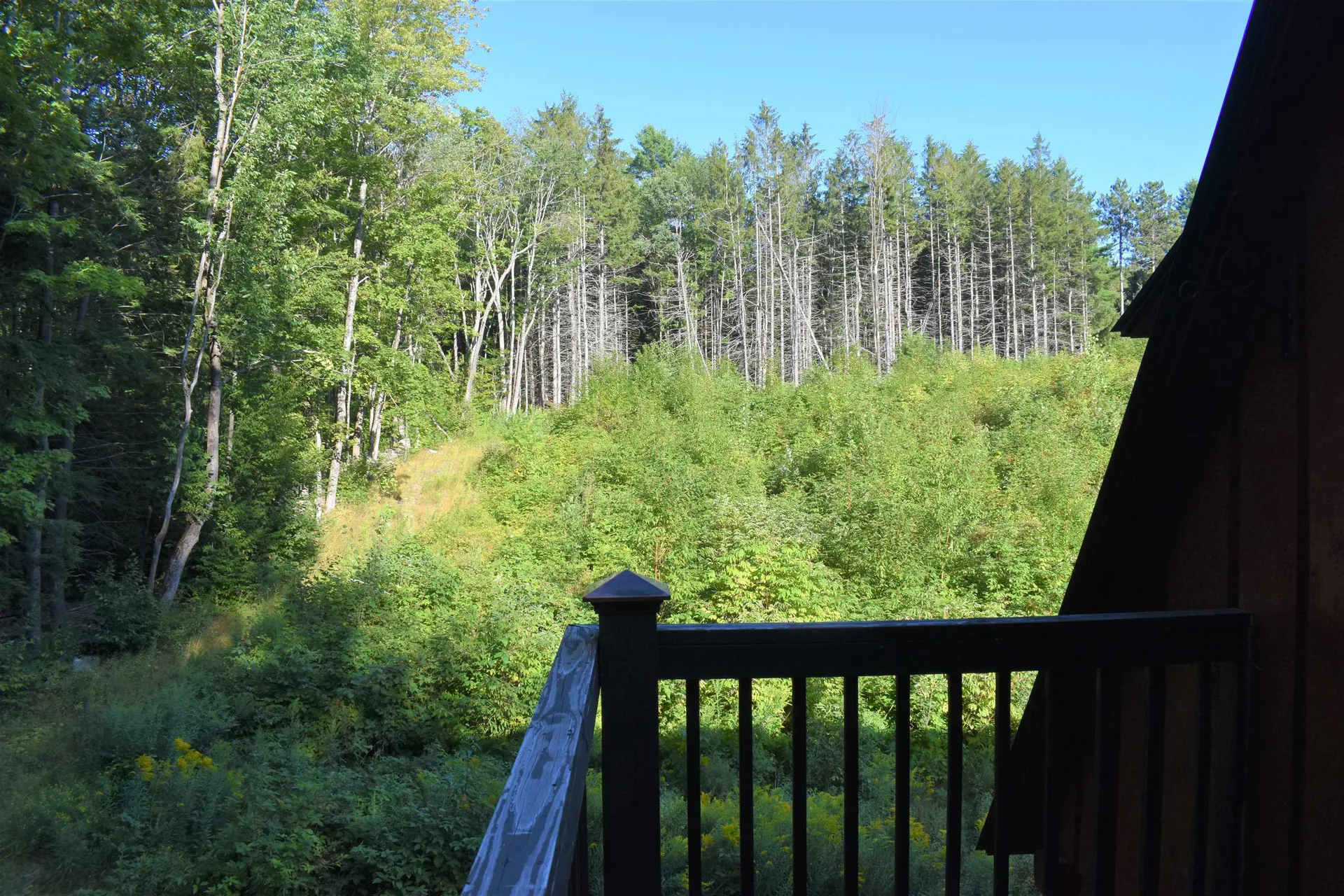 969 Jennings Road West Fairlee VT 05045