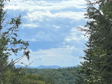 0 Mud Hollow Road Kirby VT 05851