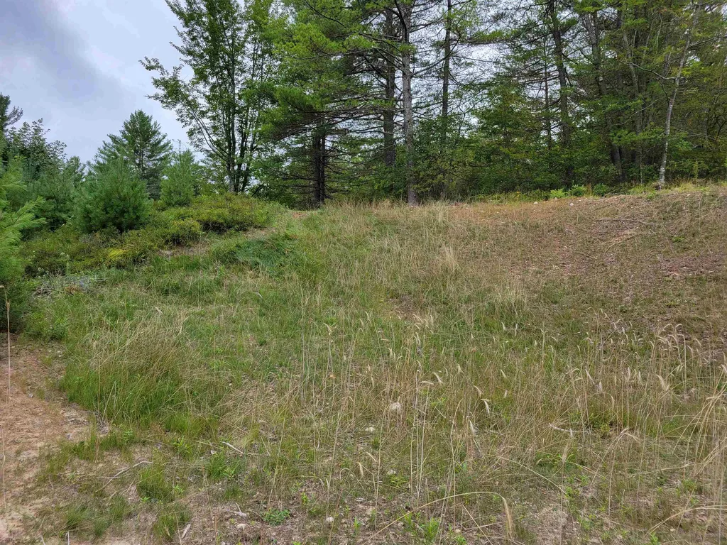 Lot #3 Pemigewasset Drive Conway NH 03818