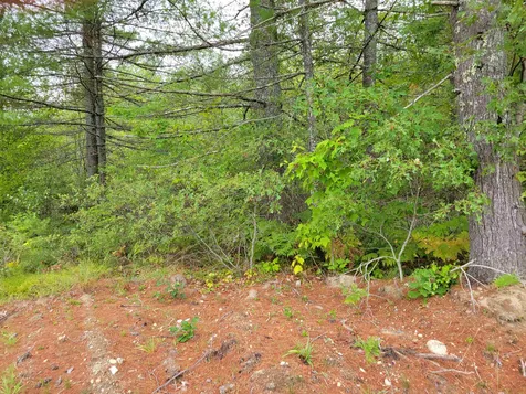 Lot #3 Pemigewasset Drive Conway NH 03818
