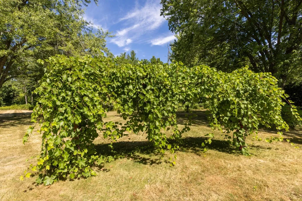 18 Tuttle Lane Dover NH 03820