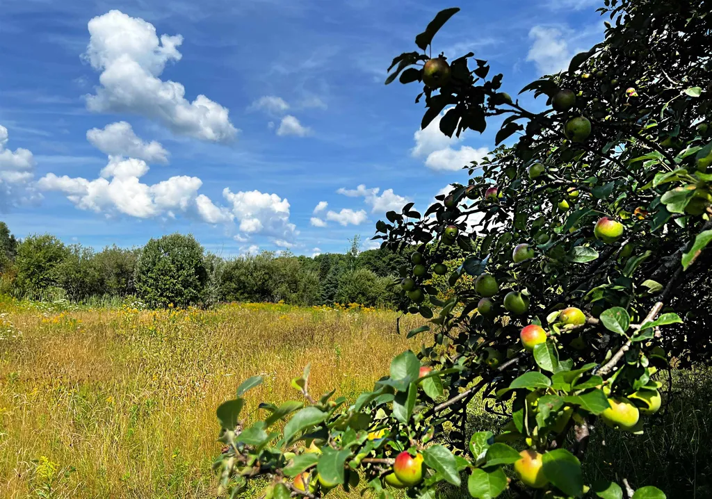 2711 Cabot Plains Road Cabot VT 05647