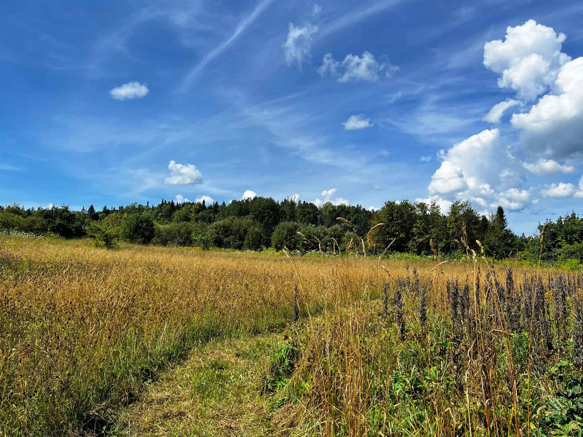 2711 Cabot Plains Road Cabot VT 05647