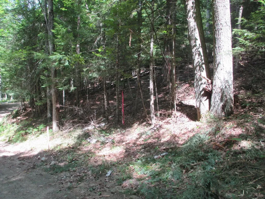 0 Wetherbee Road Lyman NH 03585