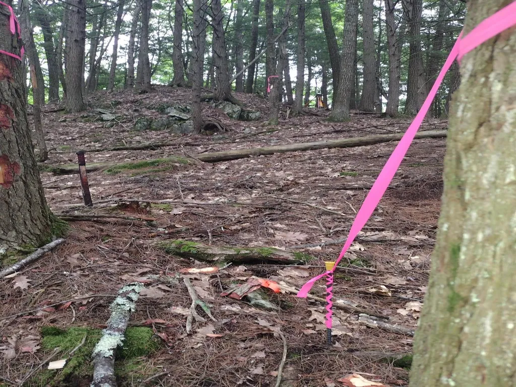 0 Wetherbee Road Lyman NH 03585