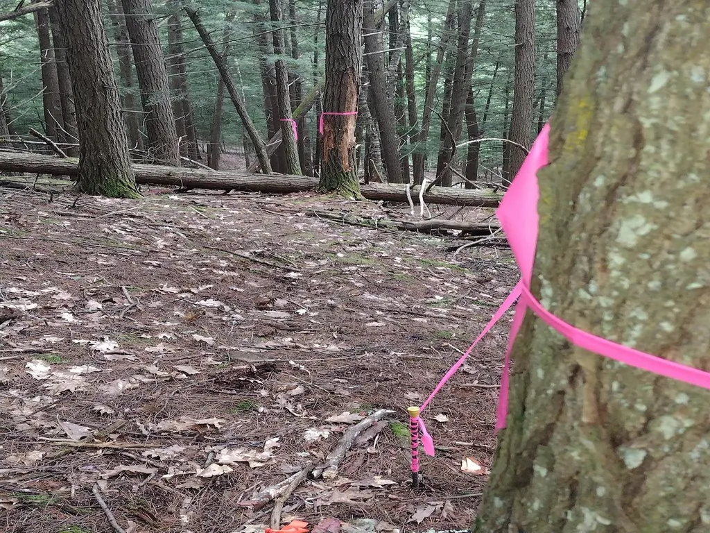 0 Wetherbee Road Lyman NH 03585