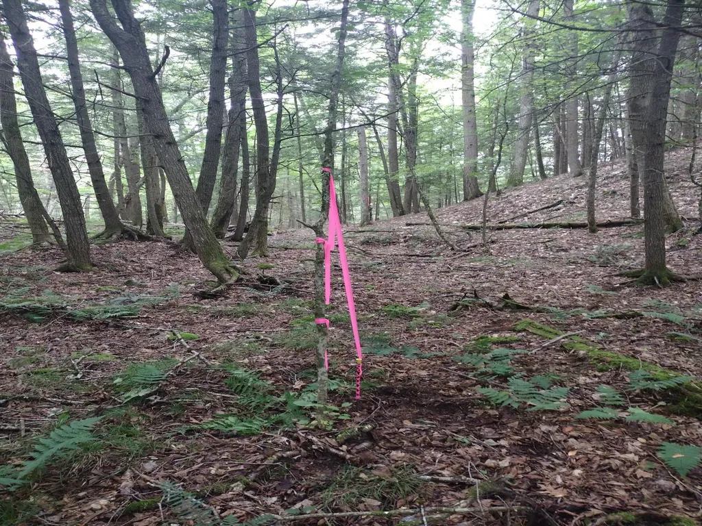 0 Wetherbee Road Lyman NH 03585