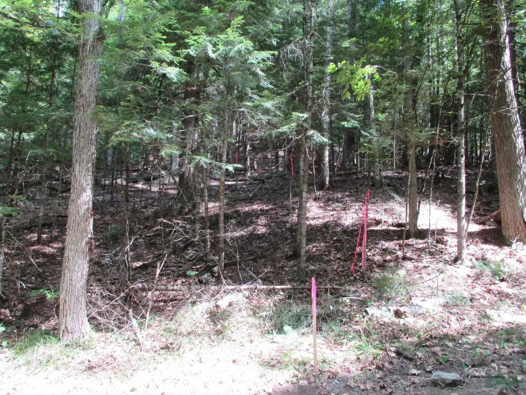 0 Wetherbee Road Lyman NH 03585