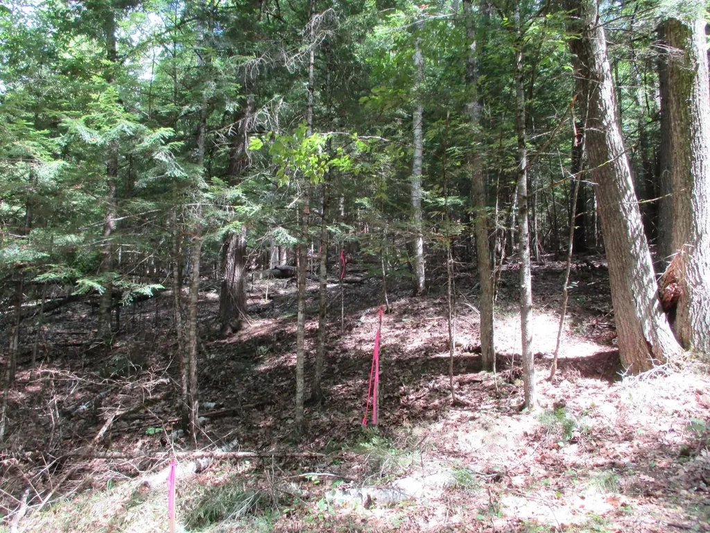 0 Wetherbee Road Lyman NH 03585