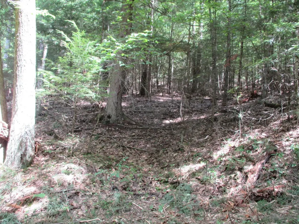 0 Wetherbee Road Lyman NH 03585