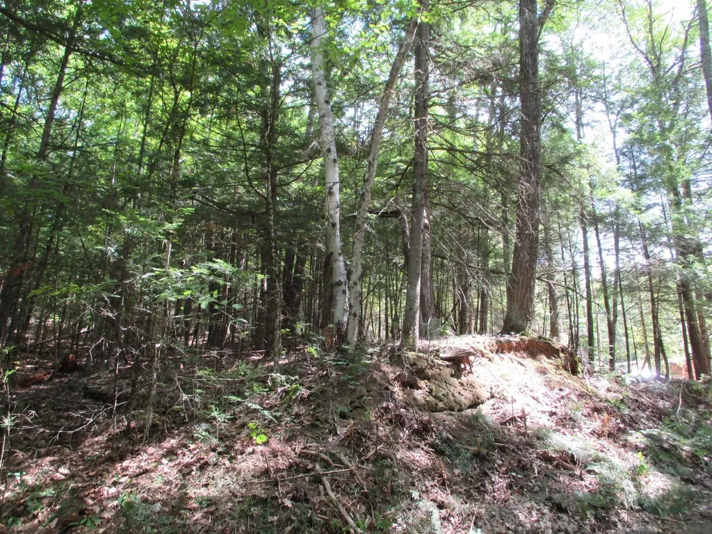 0 Wetherbee Road Lyman NH 03585