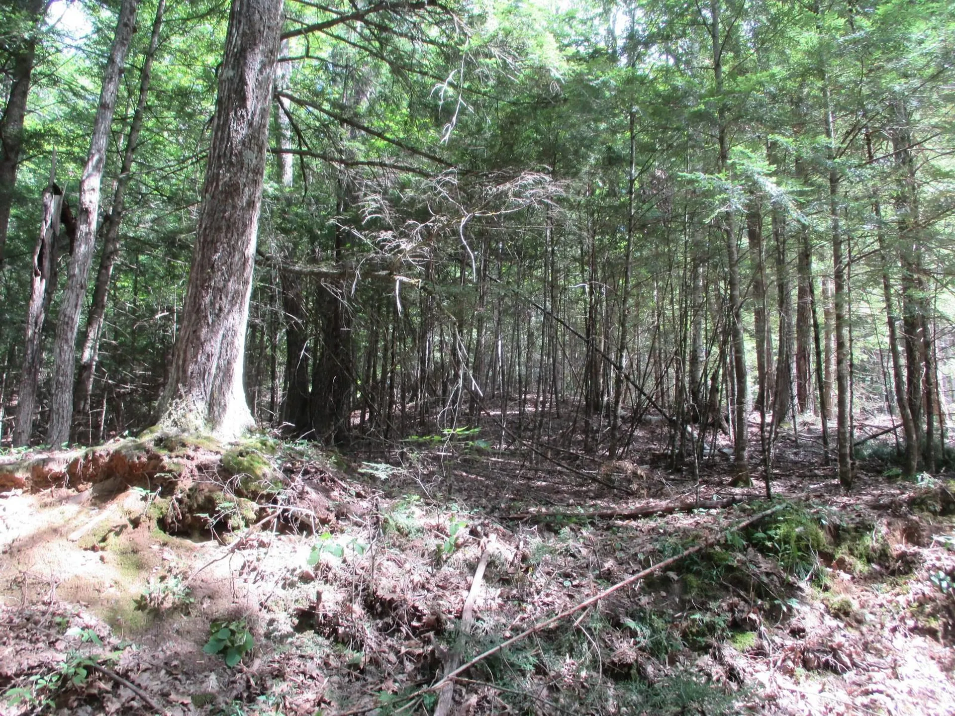 0 Wetherbee Road Lyman NH 03585