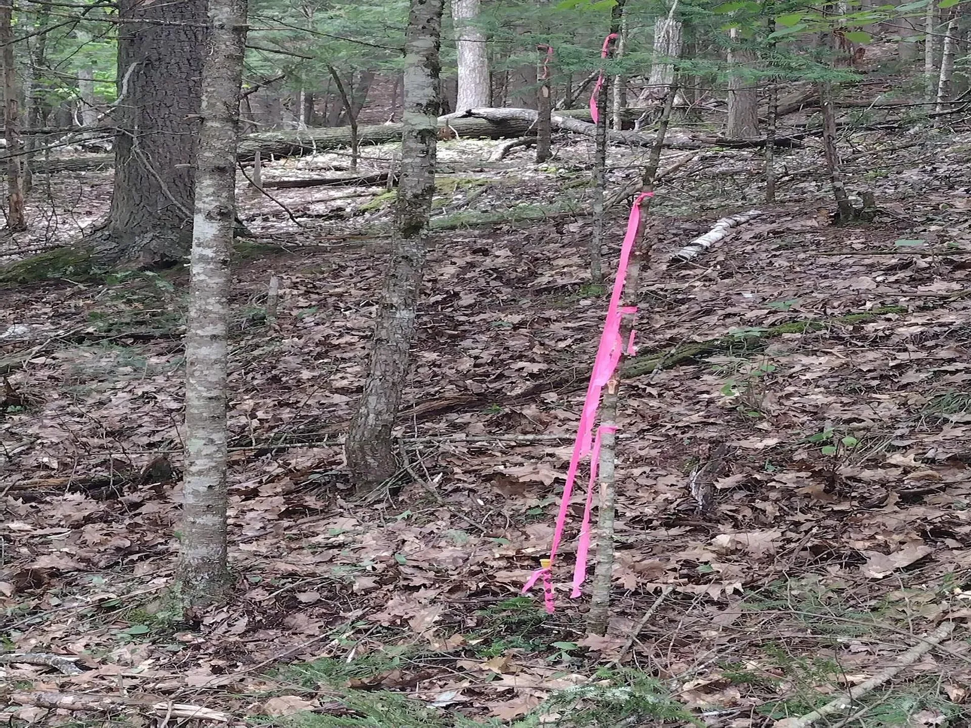 0 Wetherbee Road Lyman NH 03585