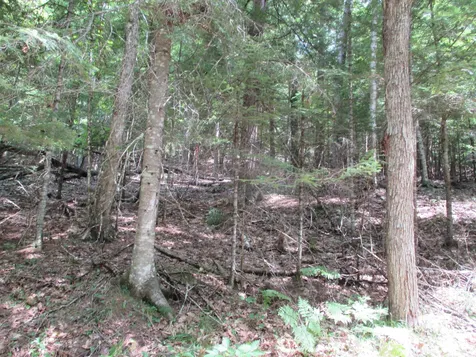 0 Wetherbee Road Lyman NH 03585