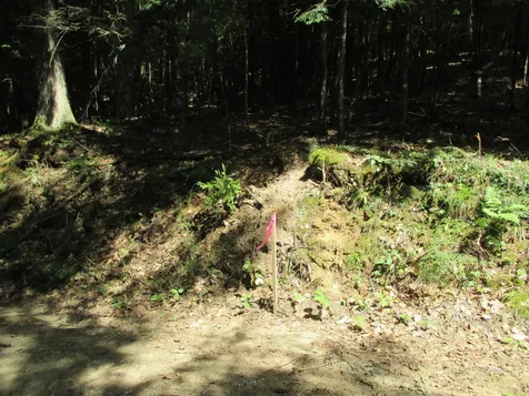 0 Wetherbee Road Lyman NH 03585