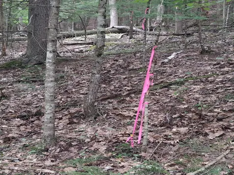 0 Wetherbee Road Lyman NH 03585