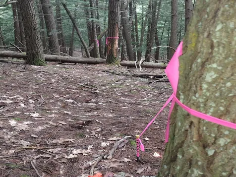 0 Wetherbee Road Lyman NH 03585