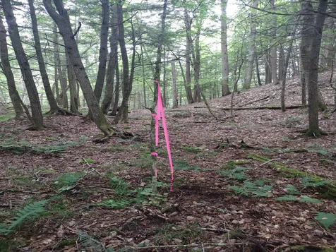 0 Wetherbee Road Lyman NH 03585