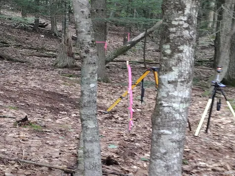 0 Wetherbee Road Lyman NH 03585