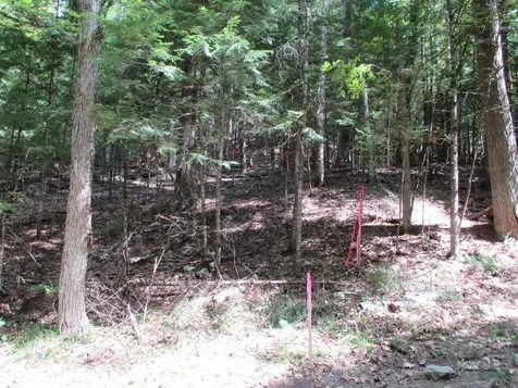 0 Wetherbee Road Lyman NH 03585