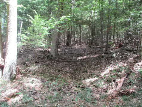 0 Wetherbee Road Lyman NH 03585