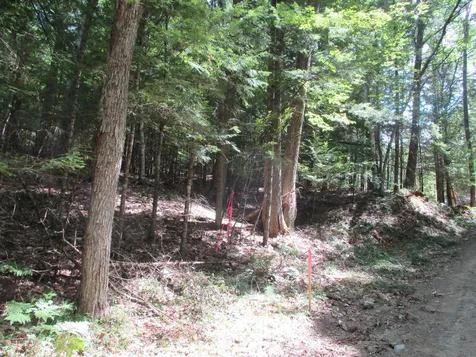 0 Wetherbee Road Lyman NH 03585