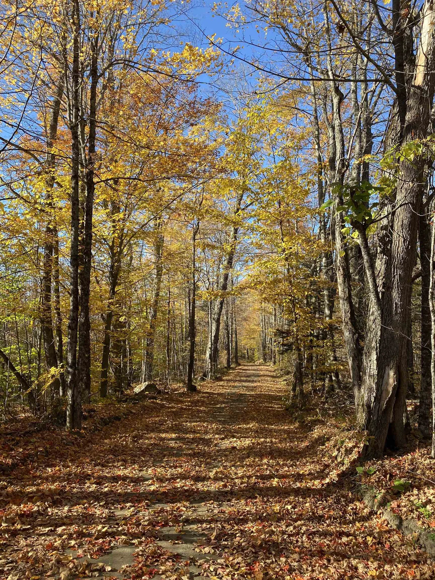 0 Mciver Road Vershire VT 05079