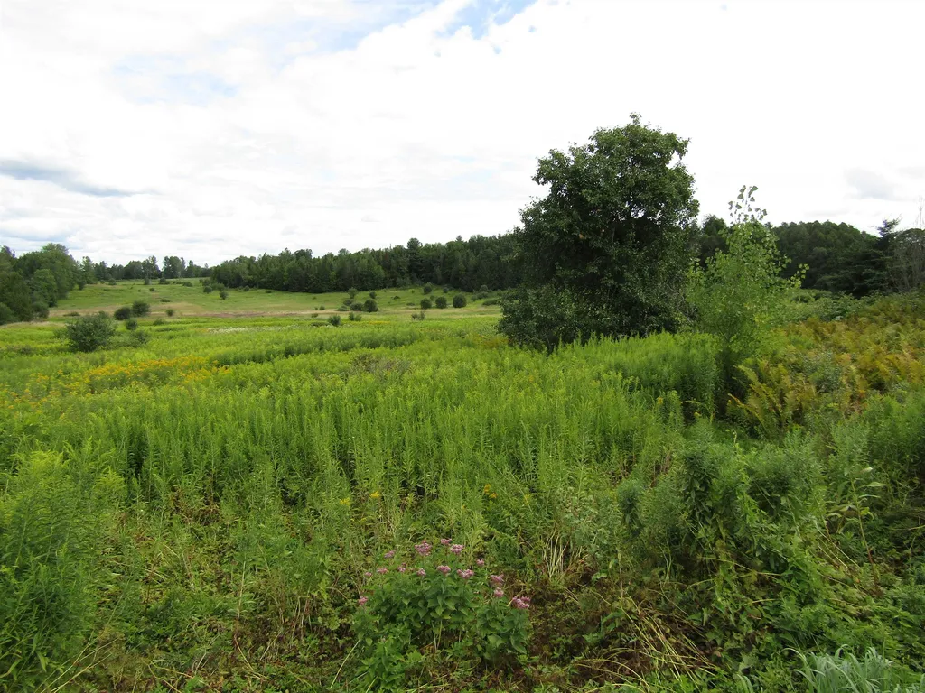 299 School Road Barre Town VT 05641