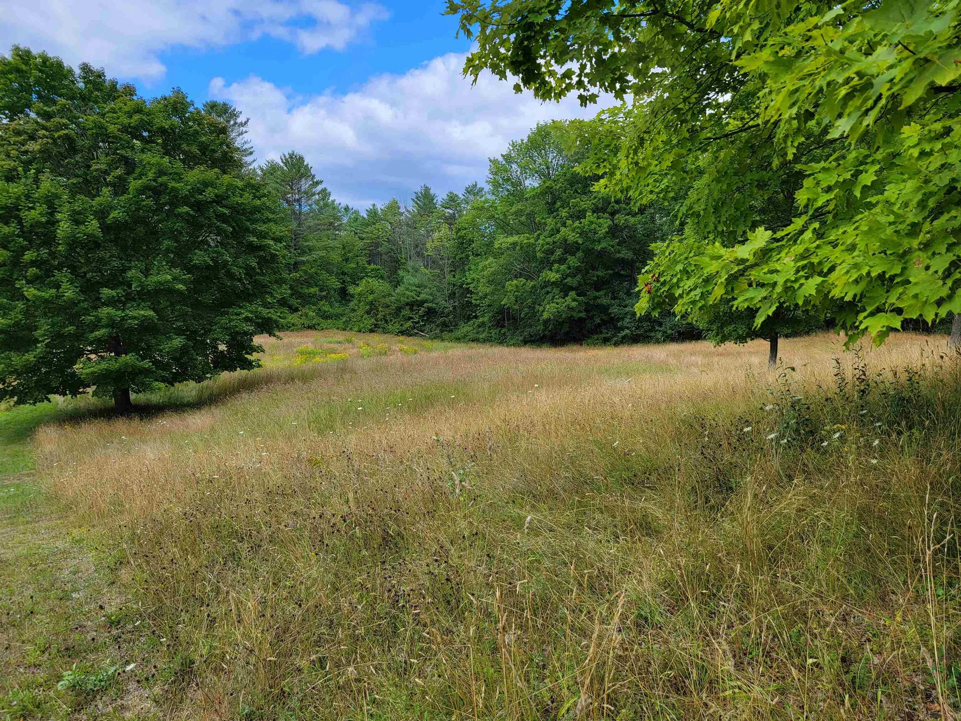 2054 Godfrey Road Thetford VT 05043