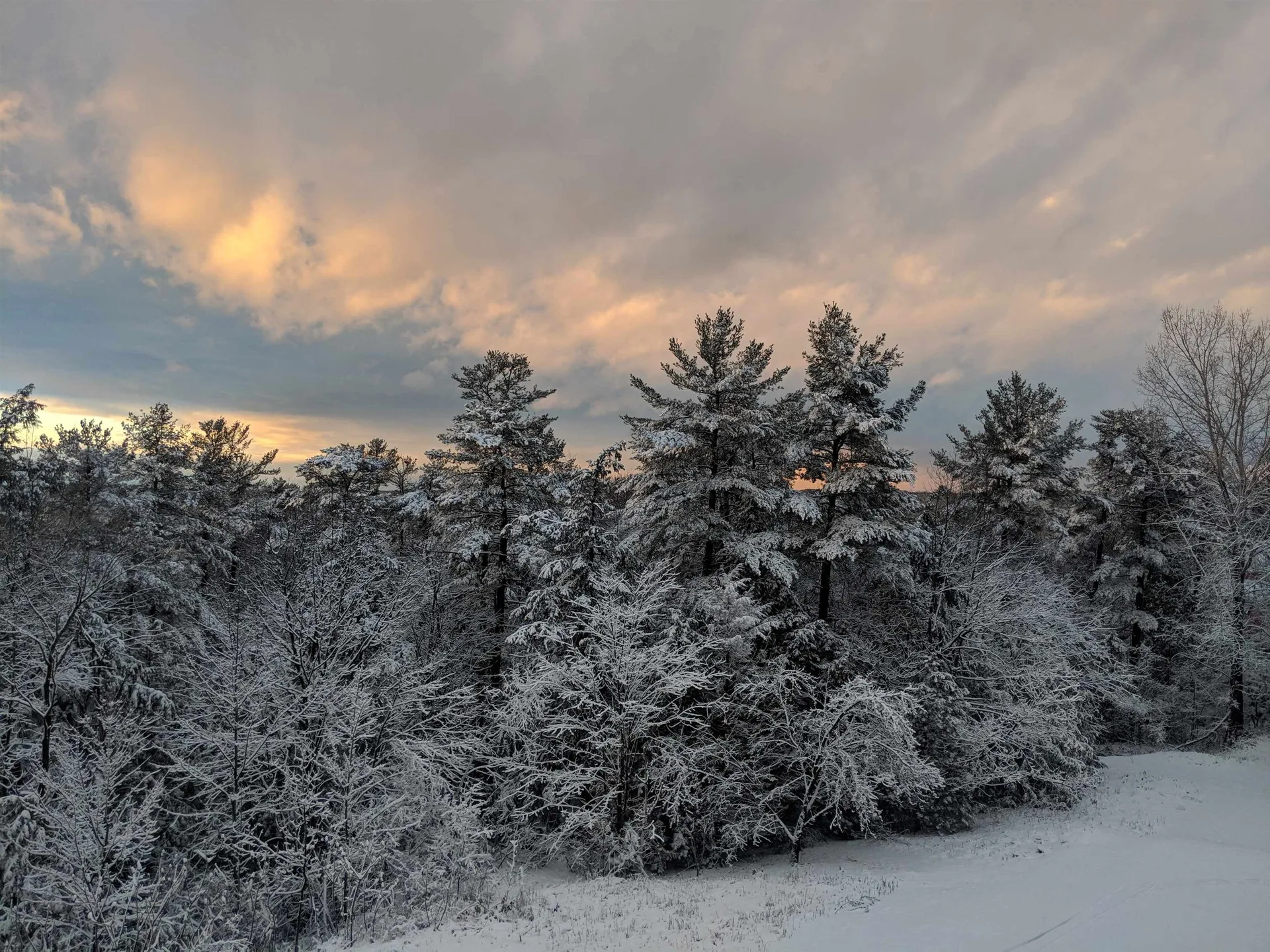 214 Redrock Drive Burlington VT 05401