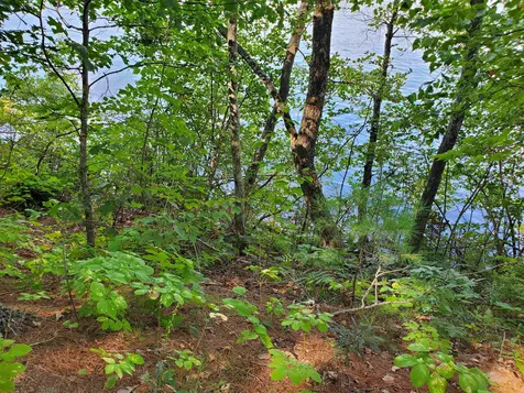 48 Ridge Road Ossipee NH 03814