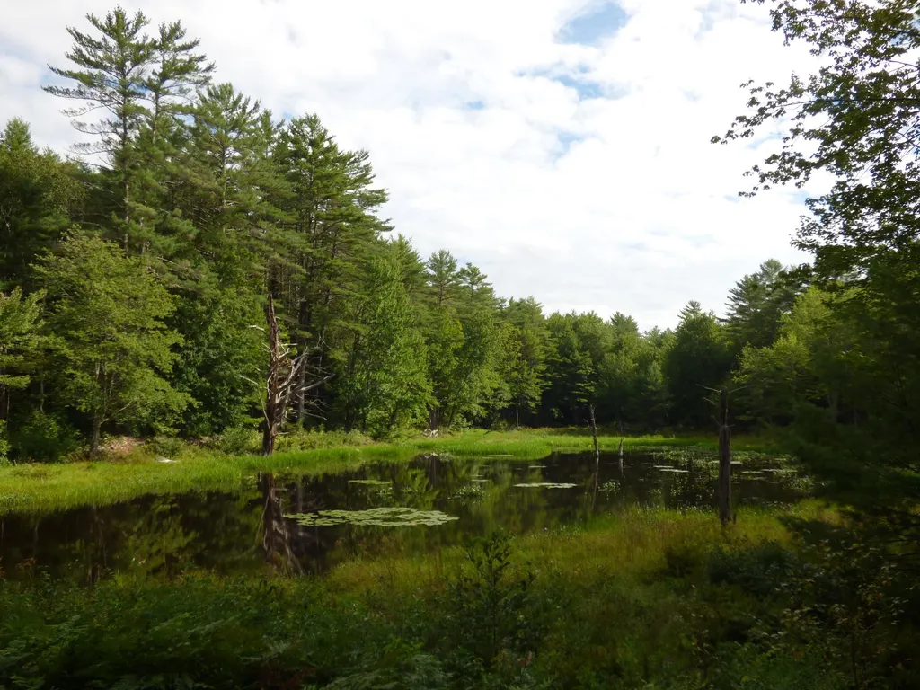 24 Chase Road Meredith NH 03253