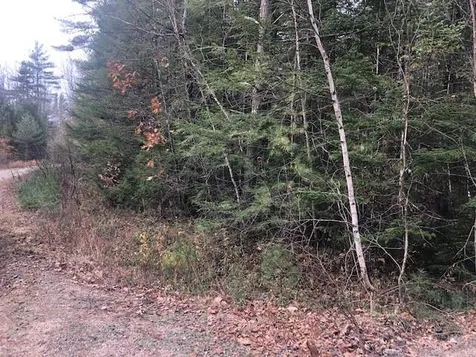 25 Beech River Circle Ossipee NH 03864
