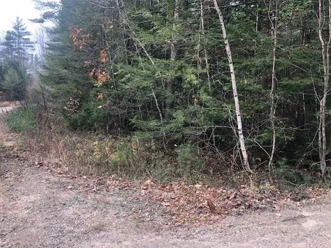 25 Beech River Circle Ossipee NH 03864