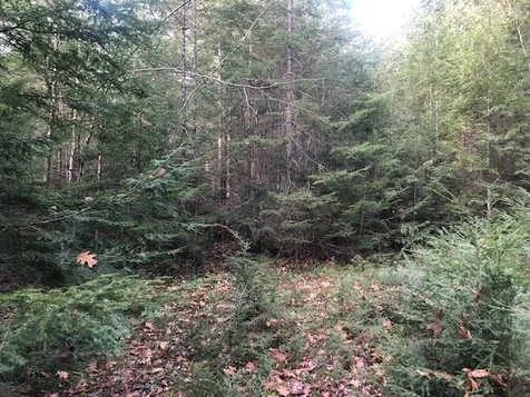 25 Beech River Circle Ossipee NH 03864