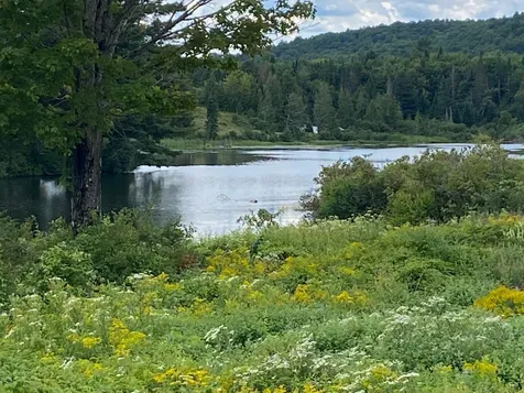 66 Atkins Lane Hardwick VT 05843