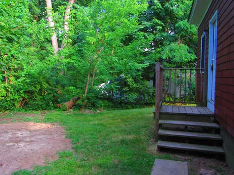 229 Elm Street Laconia NH 03246