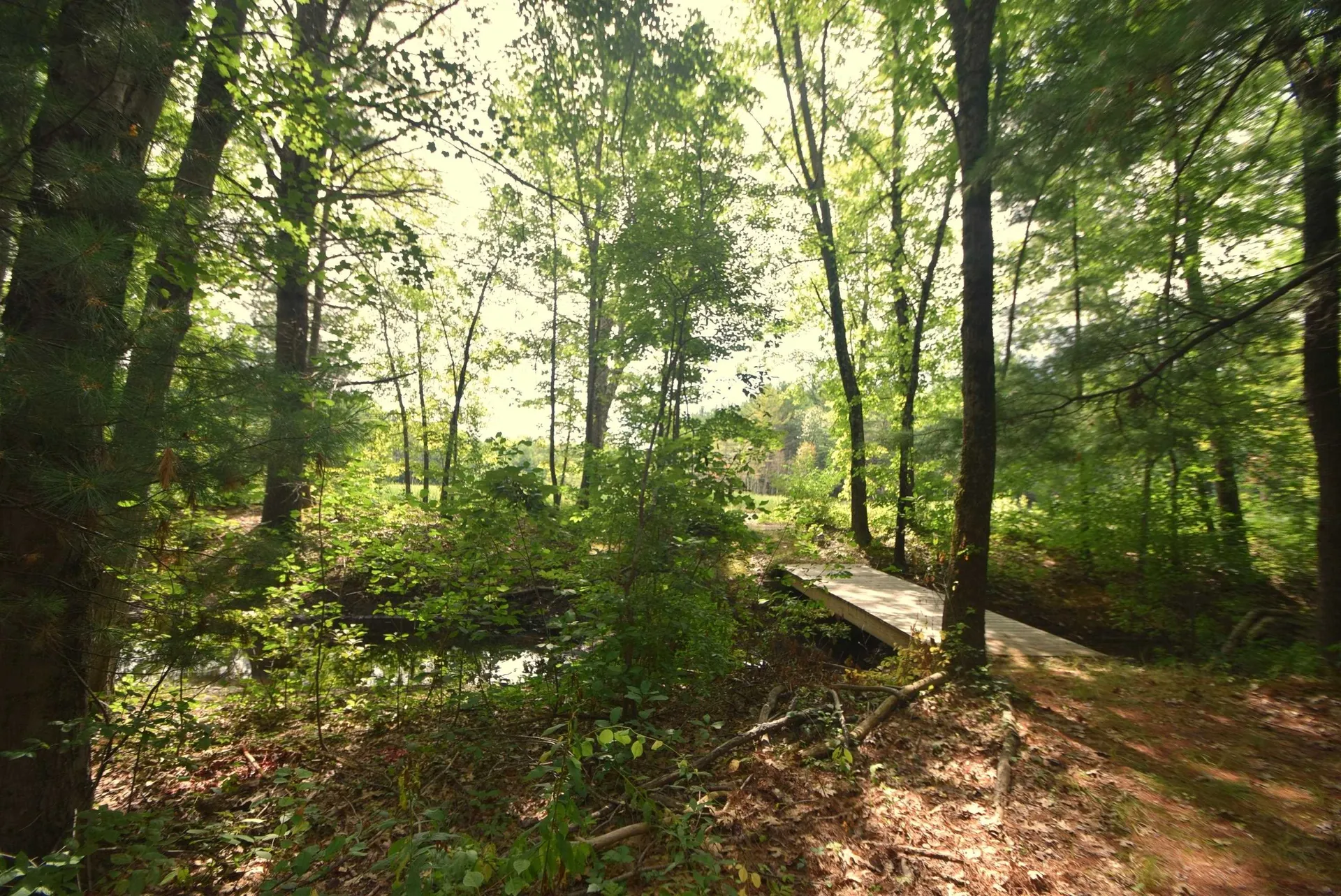 27 Maxwell Drive Derry NH 03038