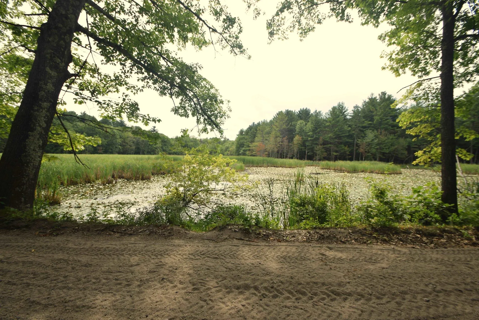 27 Maxwell Drive Derry NH 03038