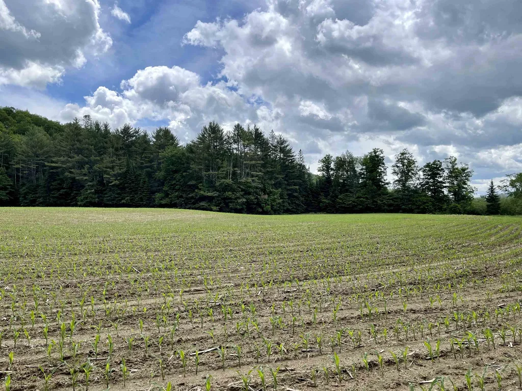 00 Middlebrook Road West Fairlee VT 05083