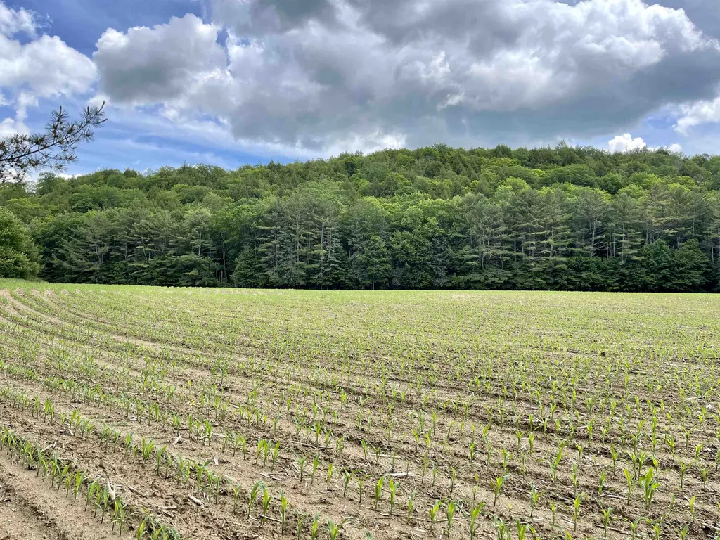 00 Middlebrook Road West Fairlee VT 05083