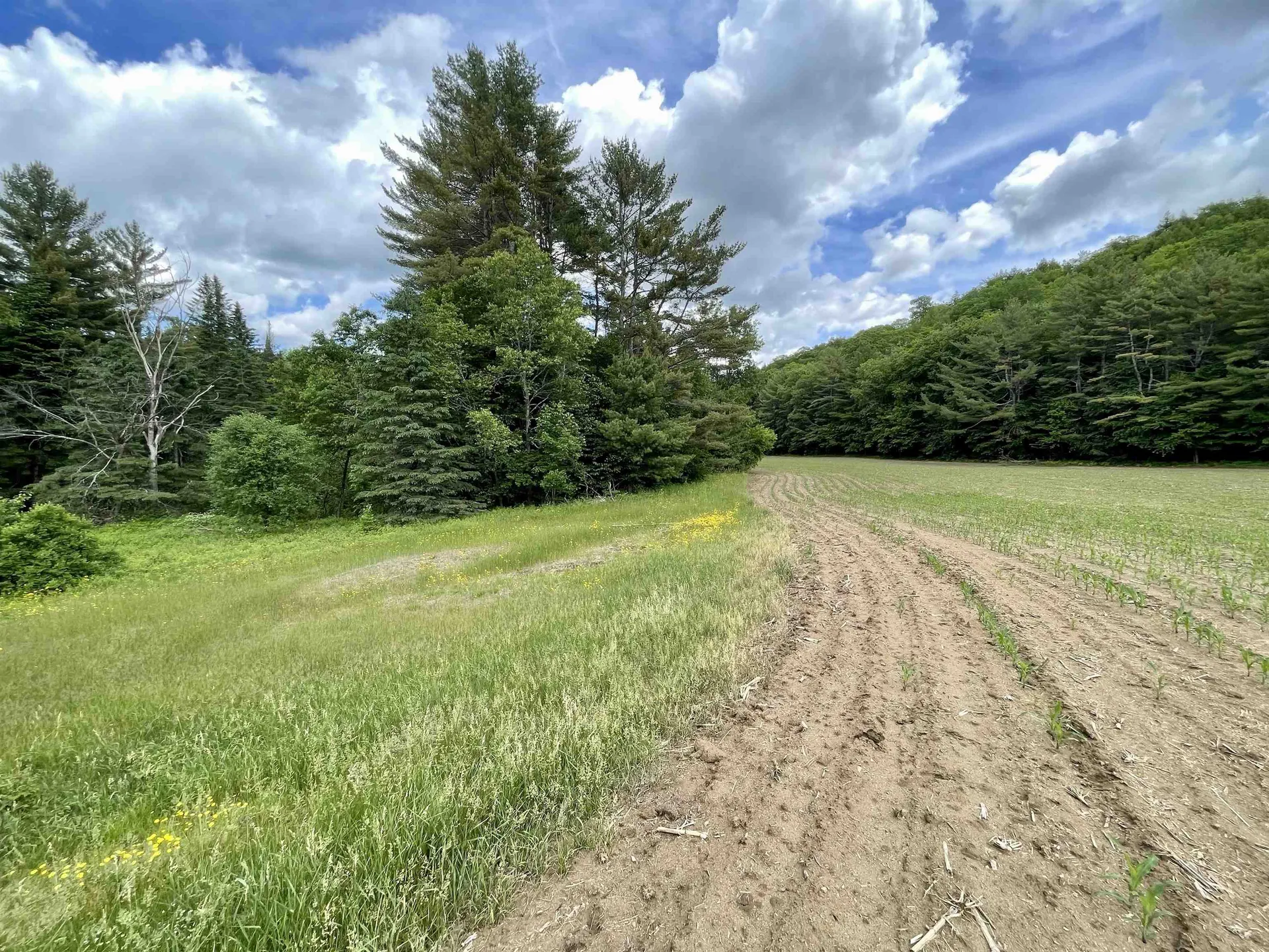 00 Middlebrook Road West Fairlee VT 05083