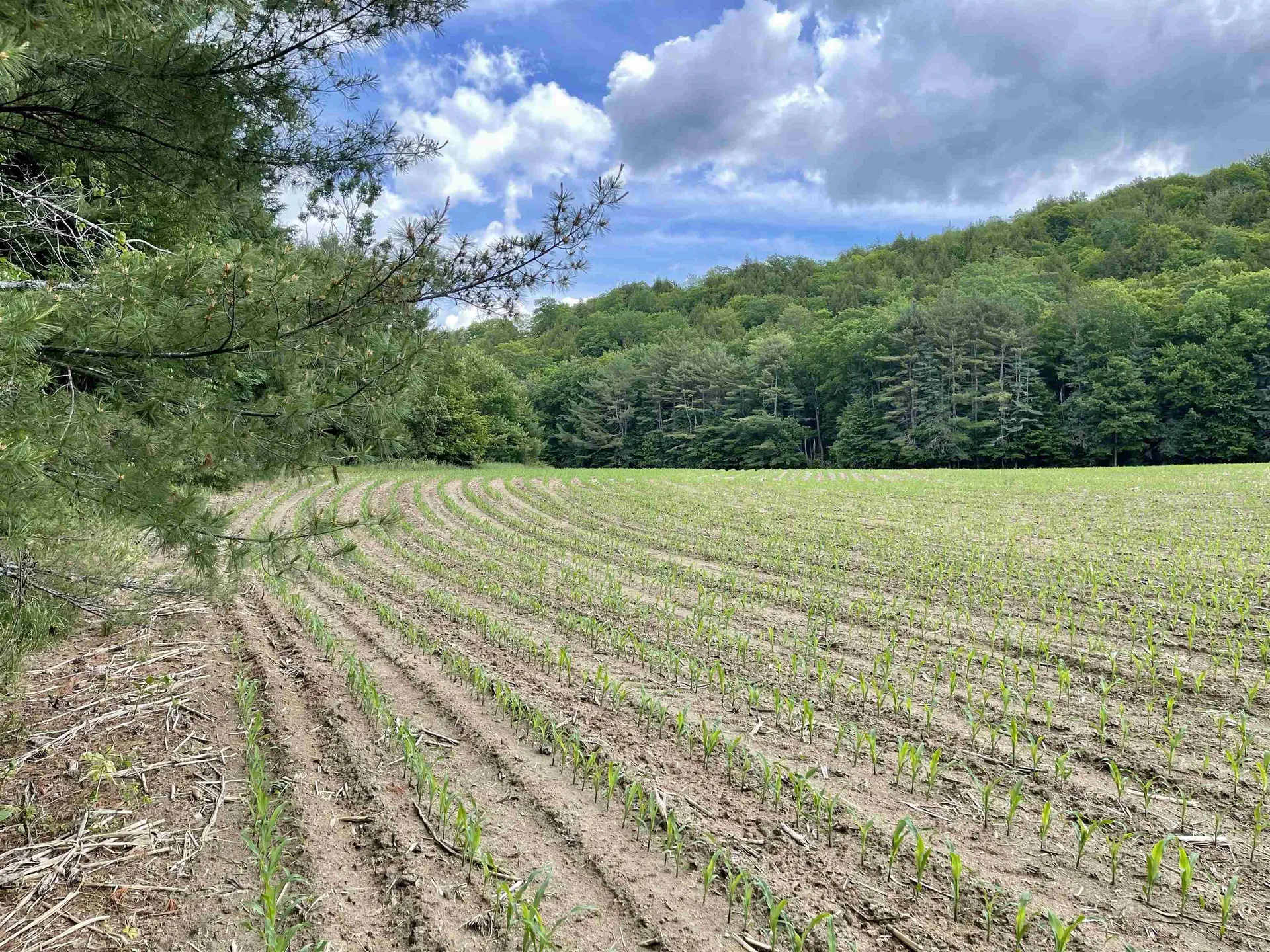 00 Middlebrook Road West Fairlee VT 05083