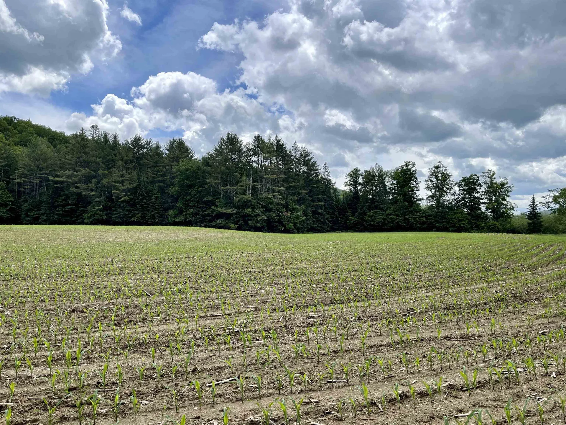 00 Middlebrook Road West Fairlee VT 05083