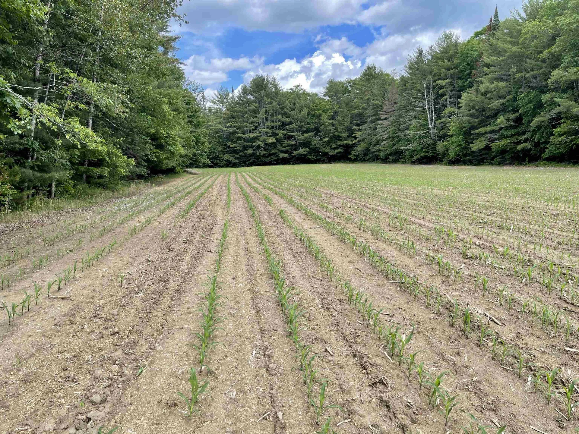 00 Middlebrook Road West Fairlee VT 05083