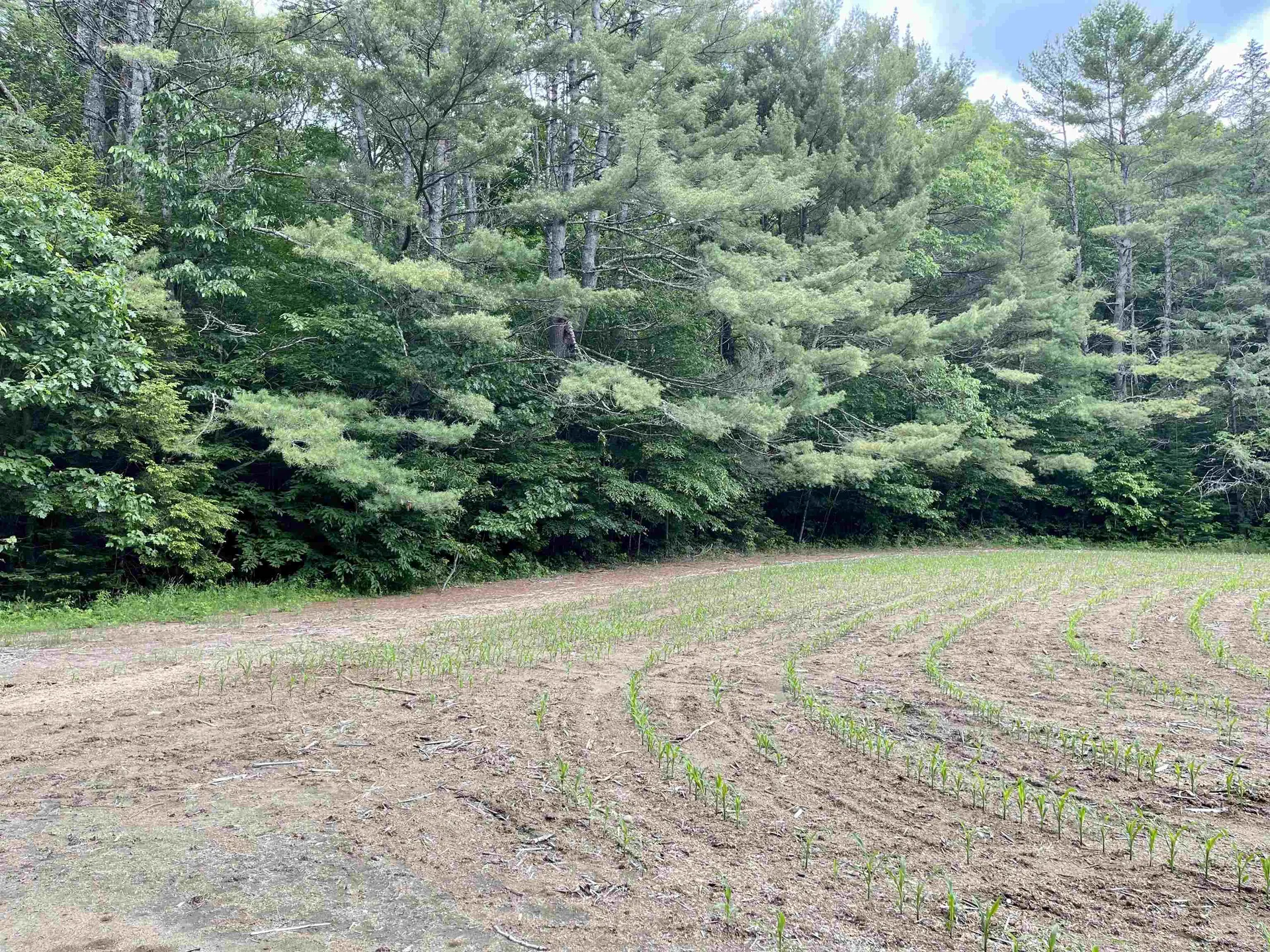 00 Middlebrook Road West Fairlee VT 05083